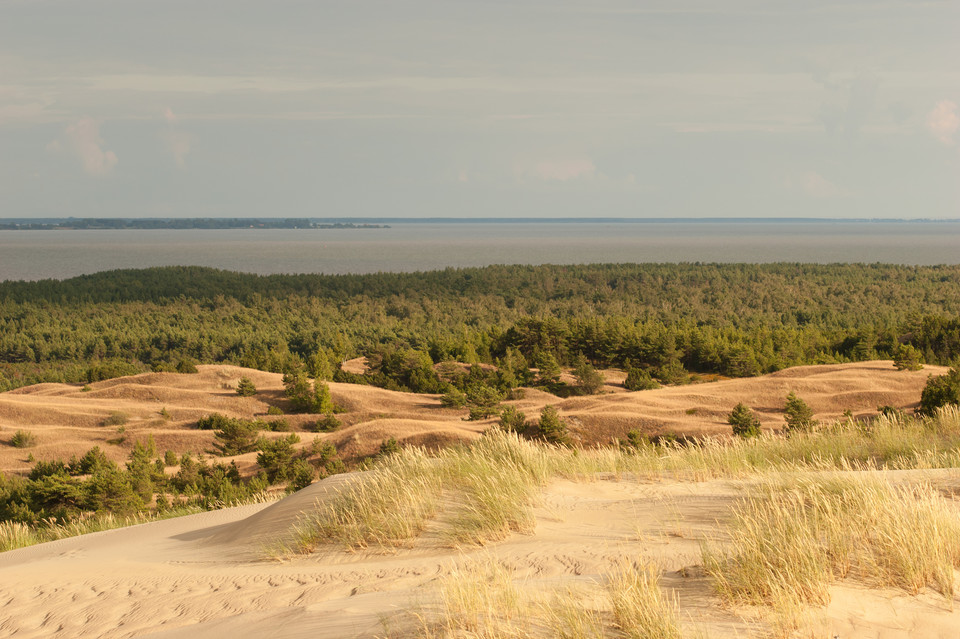 Litwa - Mie­rze­ja Ku­roń­ska