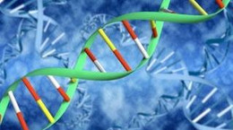 Nasze DNA a ciężkie przypadki COVID-19. Nowe odkrycia naukowców
