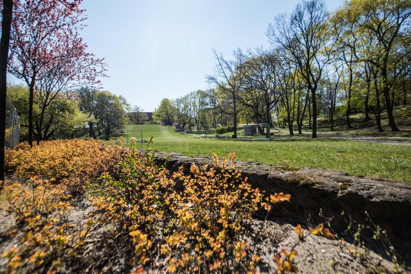 Odnowią park Dręwskich