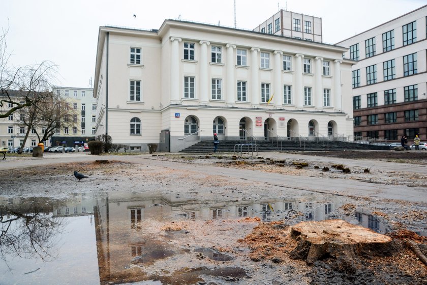 Zastali Polskę w ruinach, a zostawią w trocinach