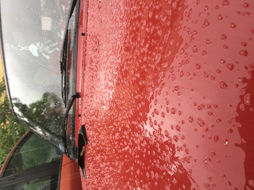 Grad padao na Novom Beogradu