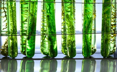 NASA już wie co może znaleźć się w menu pierwszej misji na Marsa