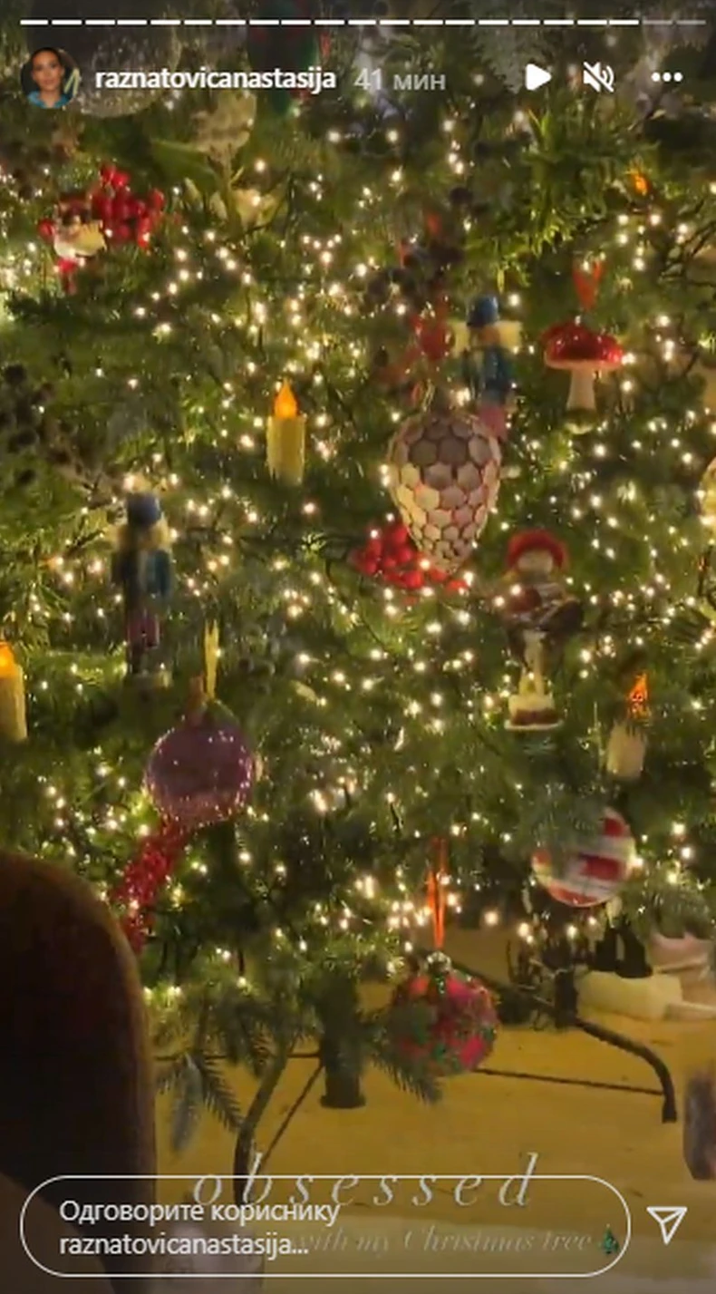 Anastasija Ražnatović 