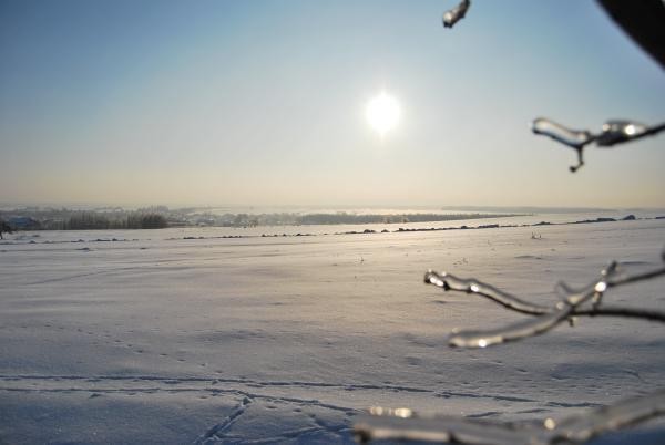 Zima 2010 w Truskolasach k. Częstochowy