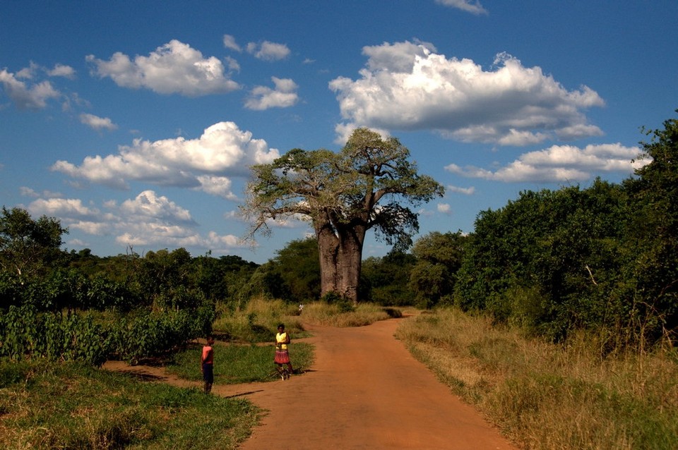 Mozambik