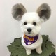 Ez a kutyus olyan, mint Mickey egér! Megőrülnek érte az emberek!