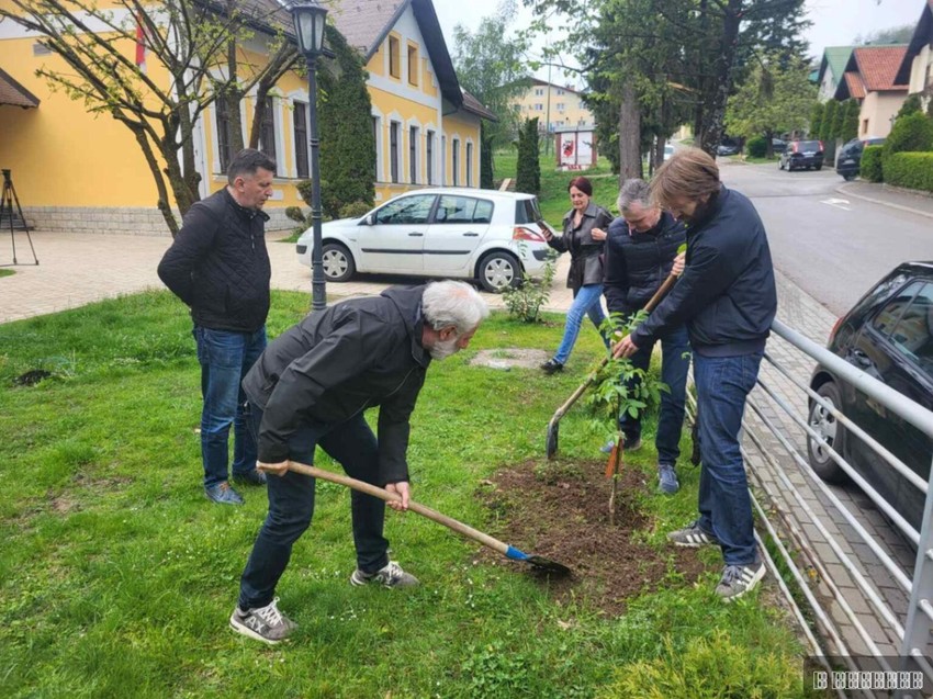 Akcija sadnje drveta