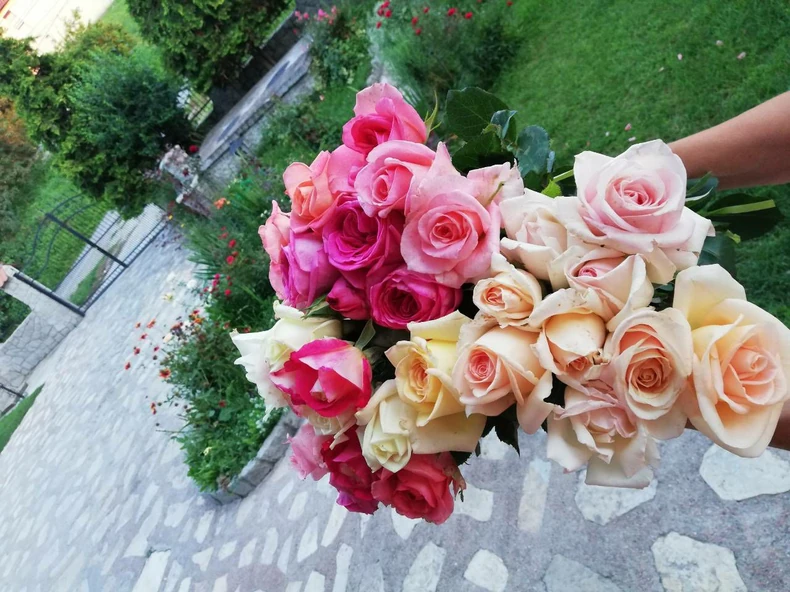 37059021 620551531665162 7951706102536601600 o