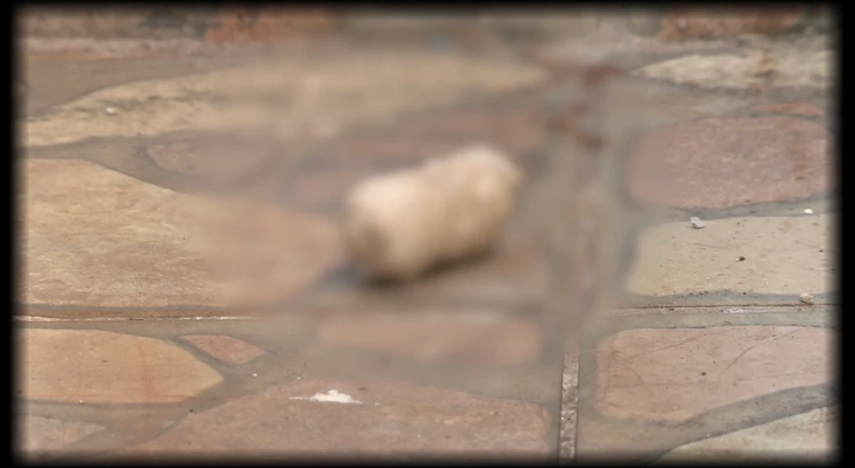 Aneli Ahmić kuća Sarajevo