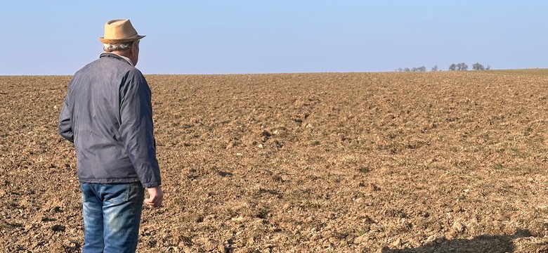 Ekoschematy 2025 ARiMR – od ilu hektarów? Jakie punkty za ekoschematy? Jakie stawki i terminy składania wniosków?