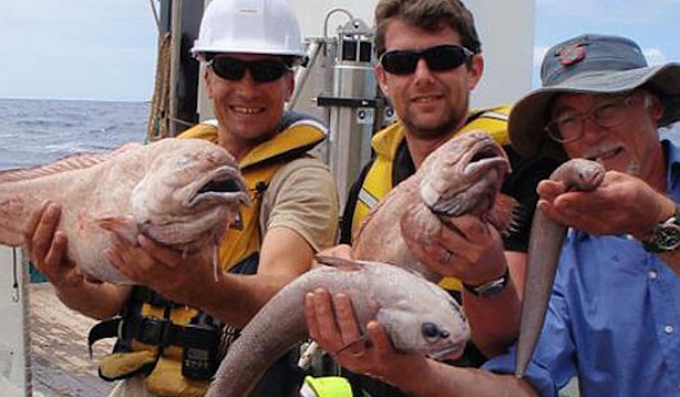 314764_nove-vrste-riba