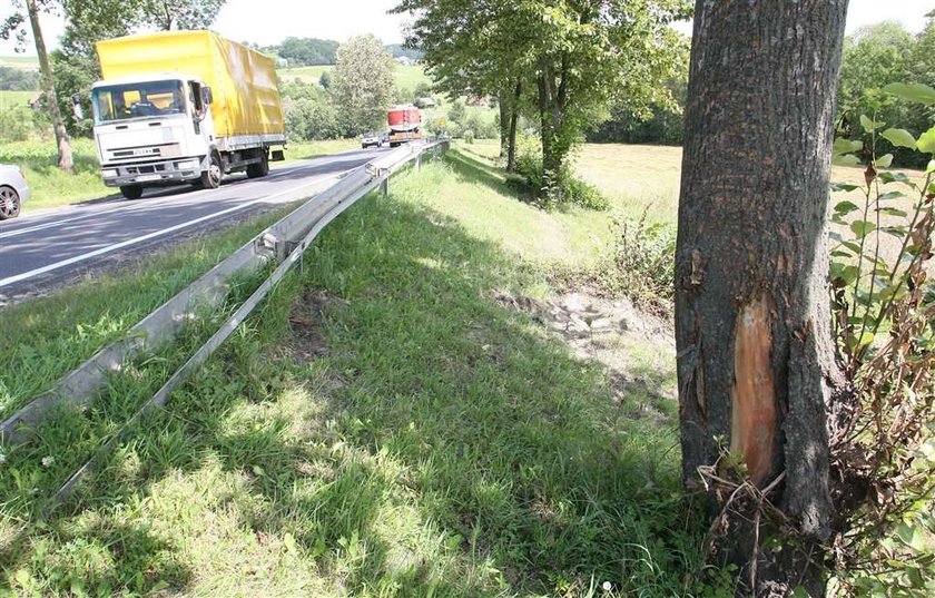 Pijany prokurator staranował drzewo