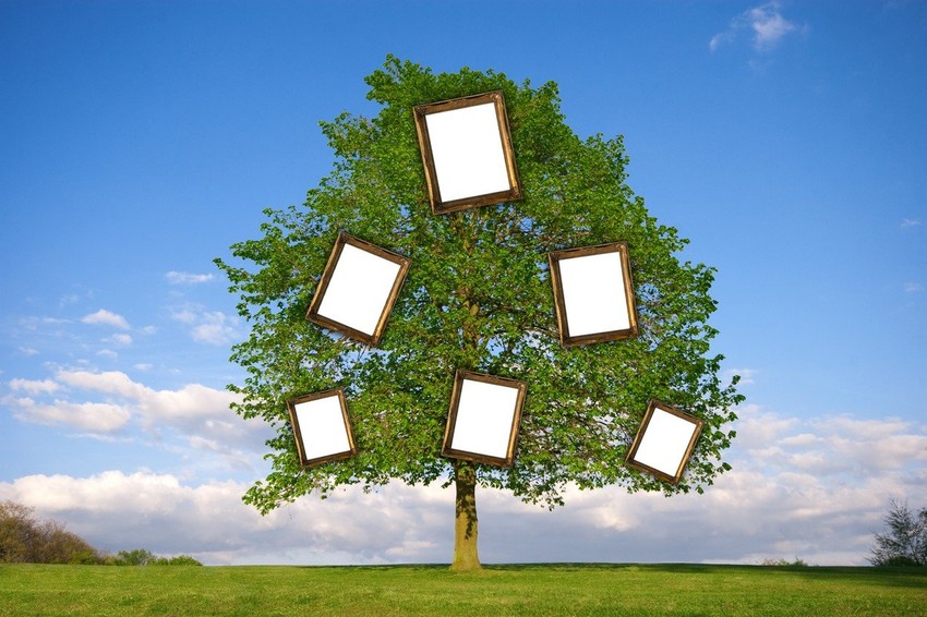 Kad na porodičnom stablu nije pronašla svog brata, Ketrin je otkrila tajnu svog porekla i pokrenula grupu na "Fejsbuku" za slične slučajeve