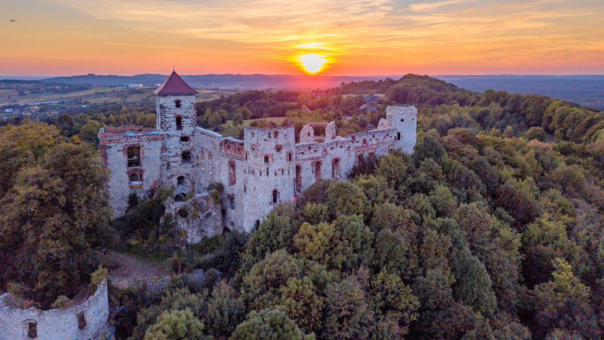 Ruiny zamku Tenczyn w Rudnie