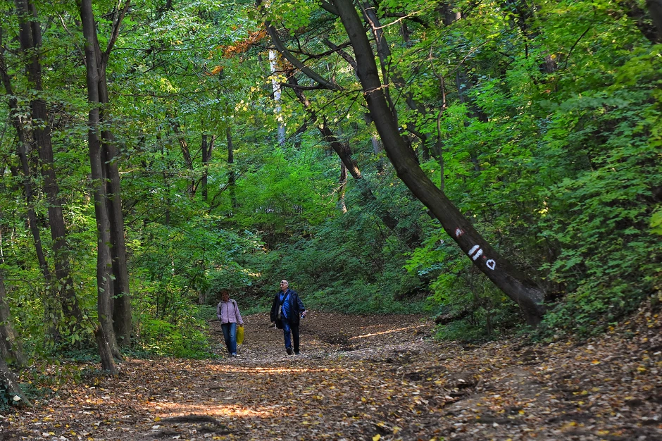 Šetnje Fruškom gorom