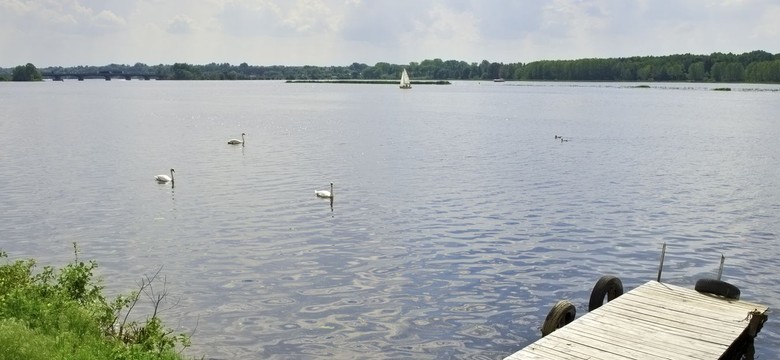 Pojezierze Gostynińskie - w krainie żwawego borsuka