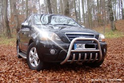 Tani i używany SUV? Oto największe przeboje polskich ogłoszeń. ZDJĘCIA