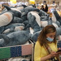 Ikea zamierza zakończyć sprzedaż pluszowych rekinów. Fani zabawki załamani