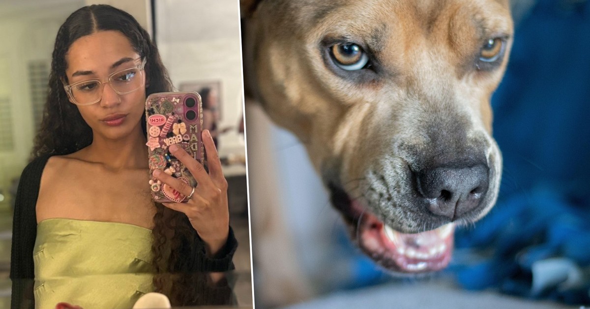 23-letnia studentka miała psy pod opieką. Bestie dokonały przerażającej masakry