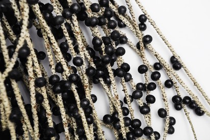 Acai bogyó a rák ellen? Feltételezett előnyök, objektív hatások és mellékhatások