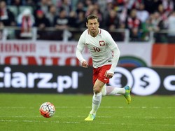 Grzegorz Krychowiak w drużynie marzeń Euro 2016