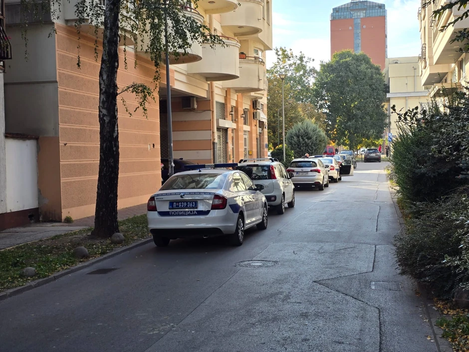 Pronađena mrtva beba, Novi Sad