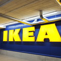 Ikea korzysta z przymusowej pracy poddostawców? Mamy komentarz firmy [TYLKO U NAS]