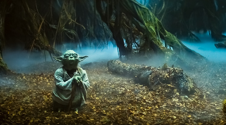 Eladó Yoda háza/ Fotó: Profimedia