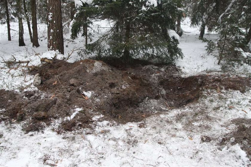 Cała rodzina idzie za kraty. Wywieźli człowieka do lasu i... 