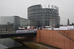 Prorządowa pikieta przed Parlamentem Europejskim. 'Polska, to nie wasz business'
