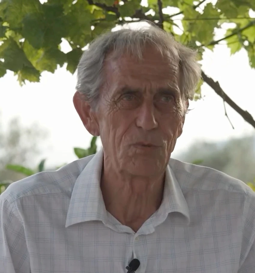 Momo Picurić