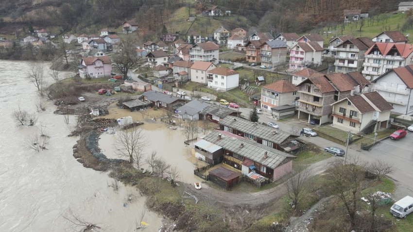 Zmije zimi slute na katastrofu
