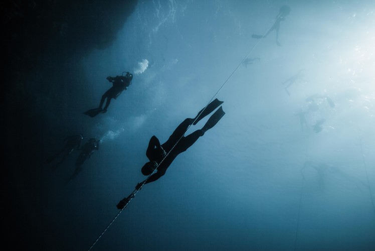 II miejsce w kategorii 