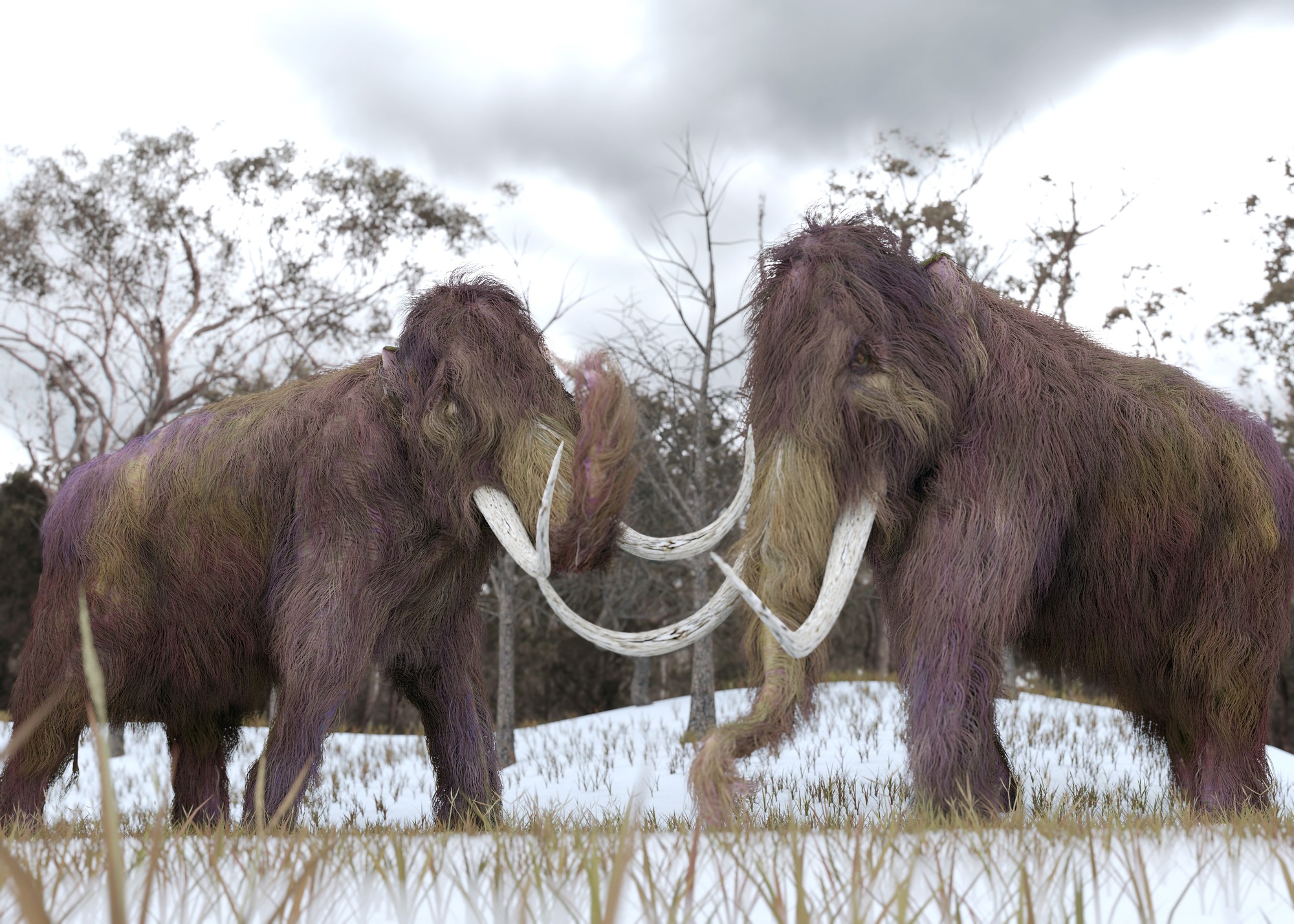 Mamut