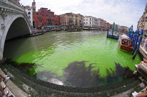 Tajemnicza odblaskowa zielona plama na Canal Grande w Wenecji