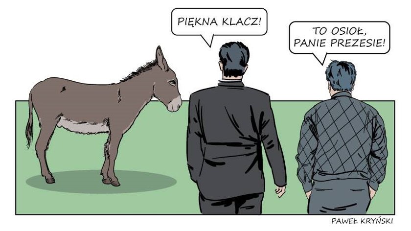 PiS wziął się za konie. Internet pęka ze śmiechu