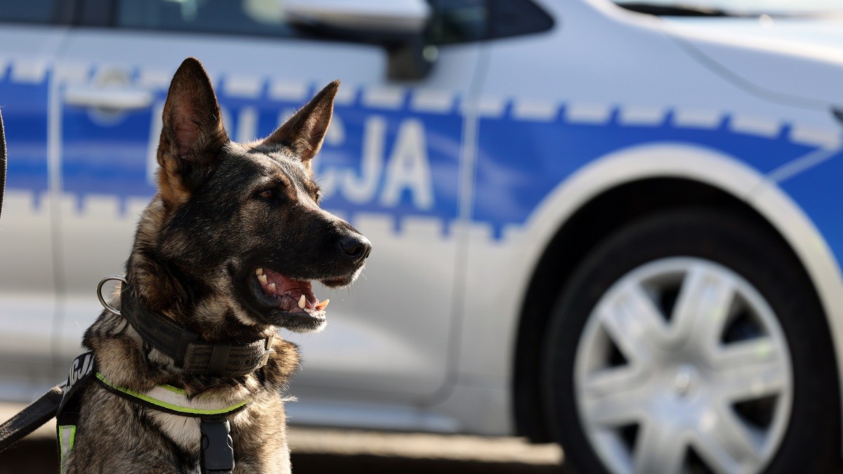 Czy koszty wynajmu kwatery tymczasowej dla przeniesionego policjanta to jego przychód podlegający opodatkowaniu?
