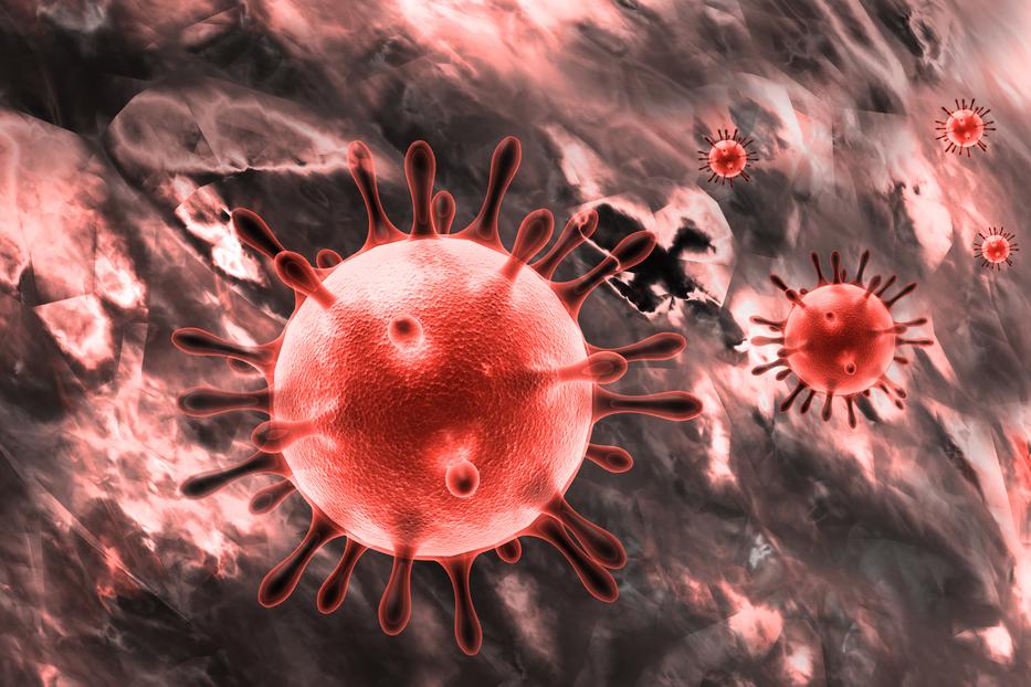 Négy koronavírusos beteg fekszik súlyos állapotban az intenzíven /Fotó:NorthFoto