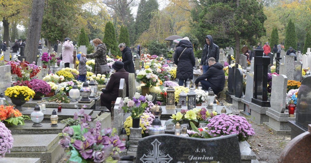 Czy 1 listopada jest dniem wolnym od pracy? Szef PIP: "To pracodawca decyduje"