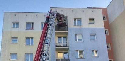 Z nieba lał się żar, a oni zostawili ją na balkonie na co najmniej dwa dni. Nie miała ani wody, ani jedzenia