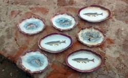 Porcelana, kryształy, stare naczynia... Co odkopano w piwniczce obok Sejmu? [ZDJĘCIA]