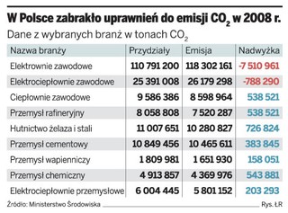 Brak limitów CO2 kosztowny dla firm