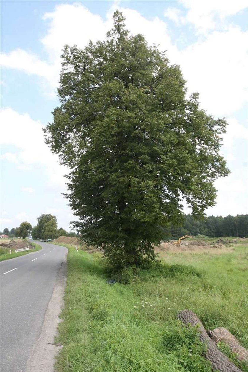 Strzelił we mnie piorun i żyję