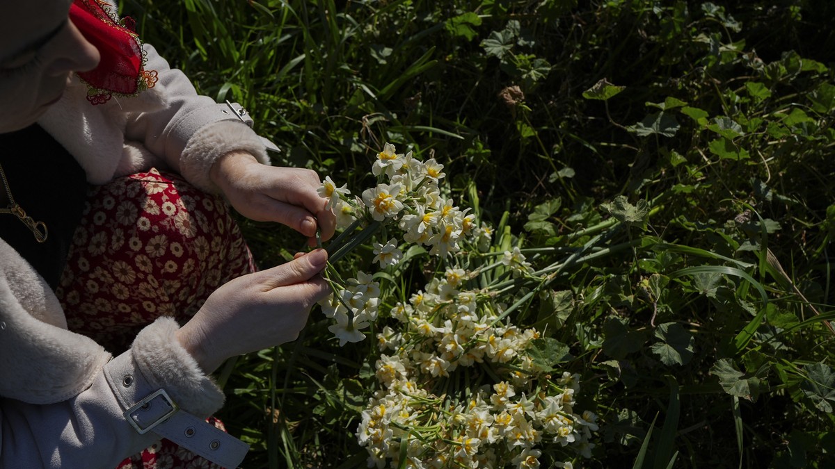 Pred Đurđevdan obavezno unesite ovu biljku u kuću: Veruje se da tera maler i štiti od nesreće (Ilustracija)