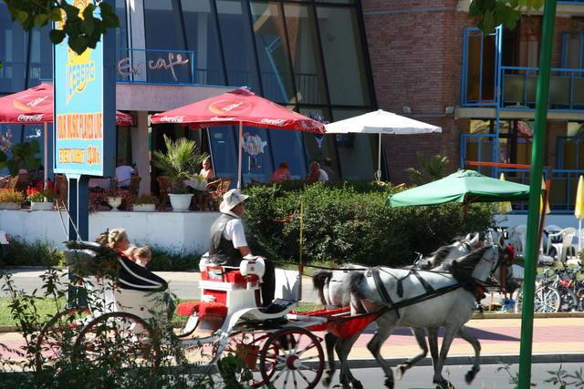 Galeria Bułgaria - Słoneczny Brzeg, obrazek 18