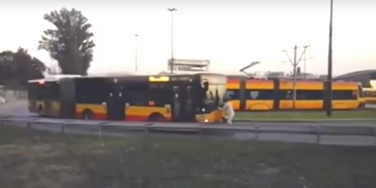 Autobus pchał go przez kilkaset metrów. Pasażera szukają policjanci