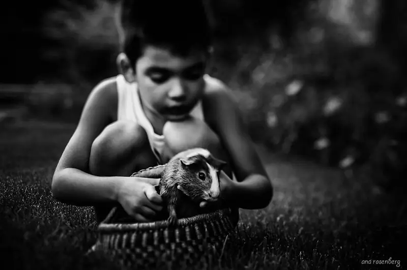 boy-and-his-pets-2__880