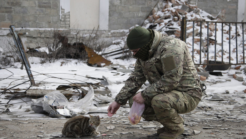 Separatystyczny żołnierz karmi kota wśród ruin niedaleko miasta Debelcewe