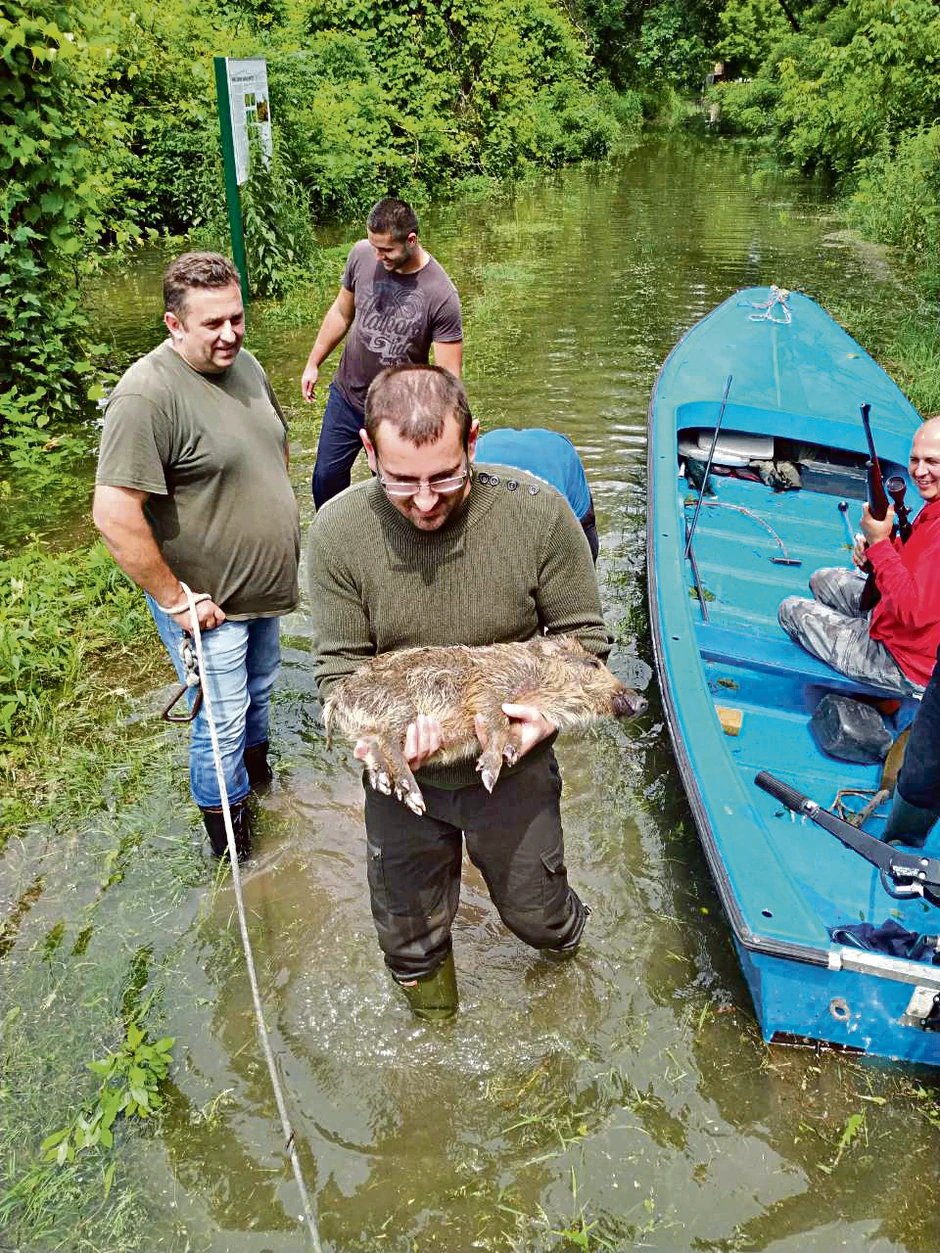Uhvaćeno jedno mladunče