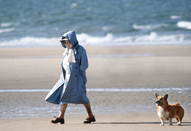 Królowa Elżbieta II na spacerze z psem